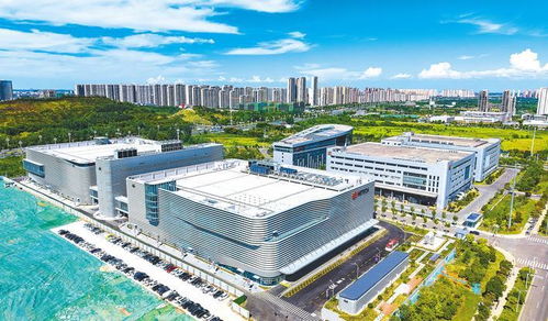 锻造具有全球竞争力的湖北特色现代化产业体系 化工科技的战略定位与发展路径