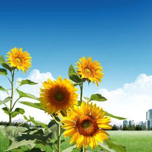 检测机构授权签字人 化工科技领域常见问题释义